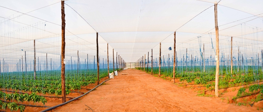 Commercial Property for Sale in Klerksdorp Rural North West